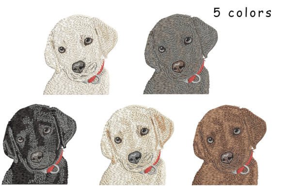 Labrador Retriever Puppy: A Seller’s Review